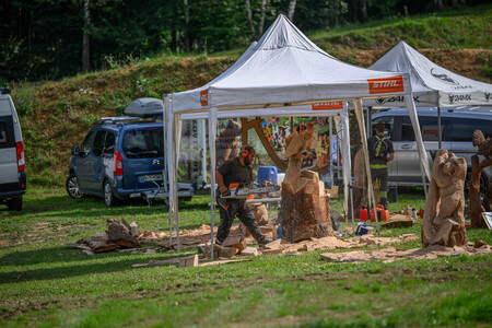 Festival Staneta Jarma-4